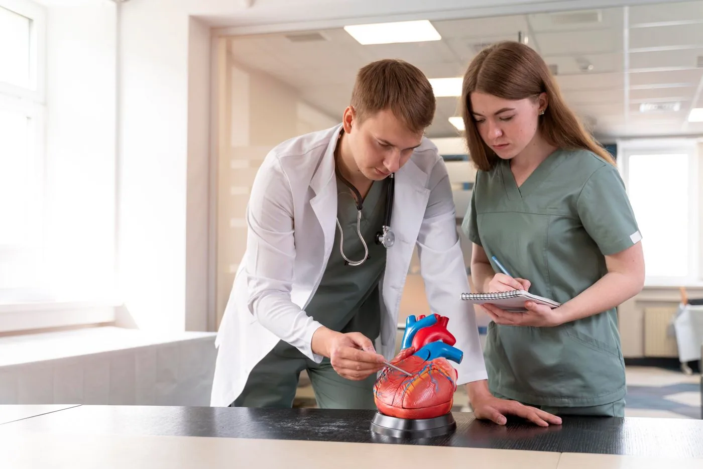 Doctor explaining an anatomical heart model